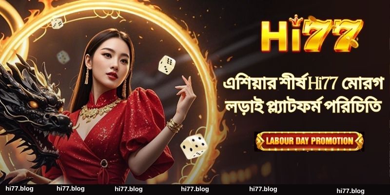 এশিয়ার শীর্ষ Hi77 মোরগ লড়াই প্ল্যাটফর্ম পরিচিতি